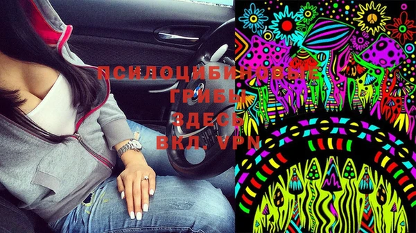 дживик Богданович