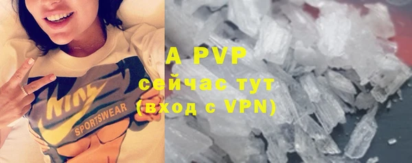 тгк Ростов
