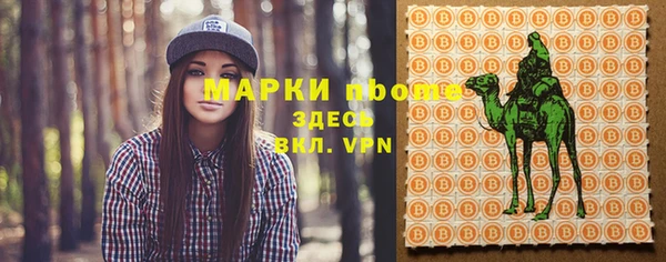 твердый Богородск