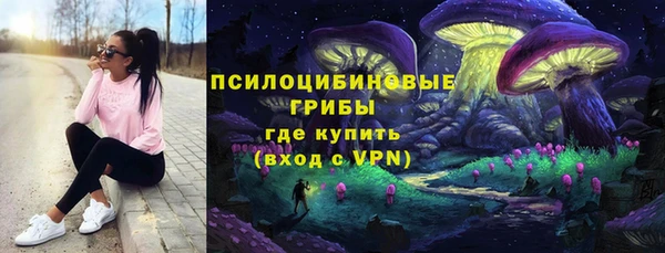 не бодяженный Богородицк