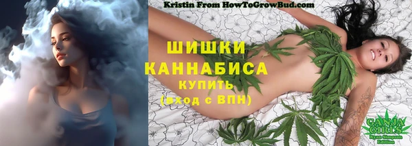 не бодяженный Богородицк
