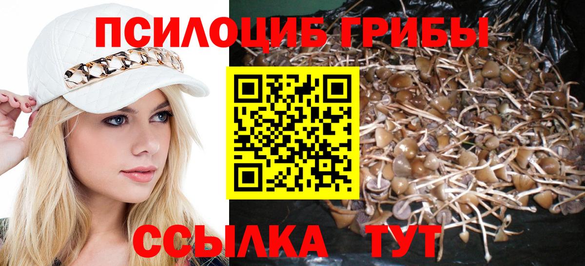 Галлюциногенные грибы ЛСД  Вход с VPN  Среднеуральск 